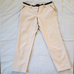 ANN TAYLOR Tan Skinny Ankle Pant Size 8 Petite